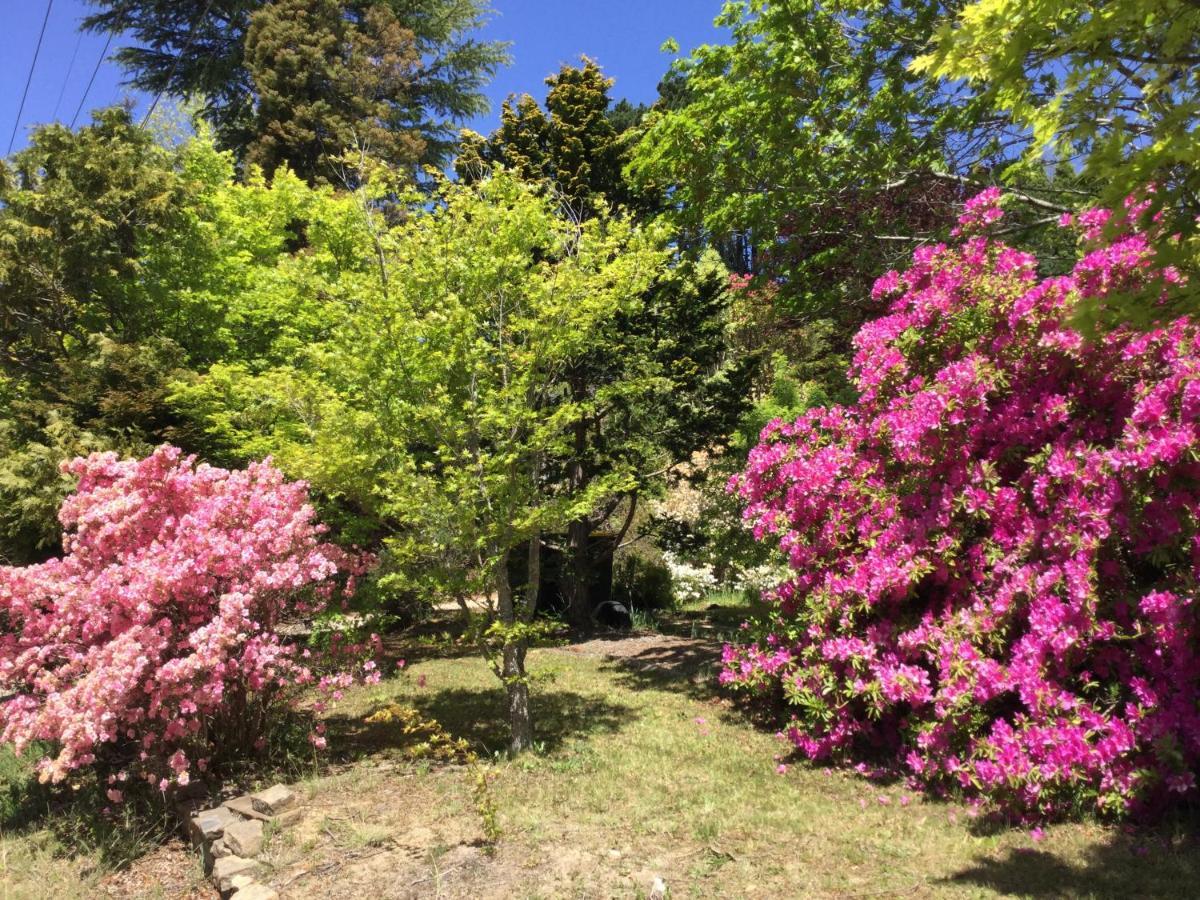 The Wentworth Retreat Villa Wentworth Falls Ngoại thất bức ảnh